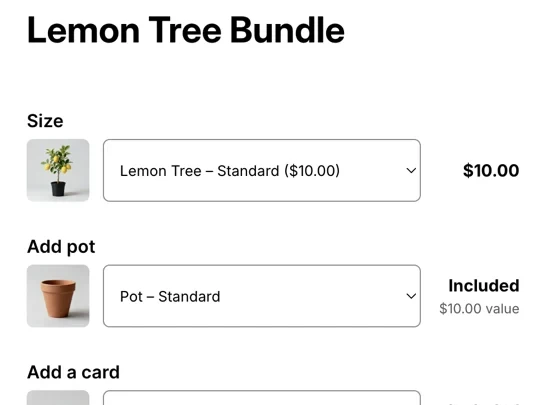 A real BundlePilot product page: Lemon Tree Bundle with its own selector for the size and the pot, each with its price